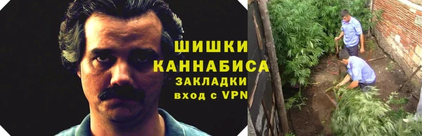 амф Бугульма