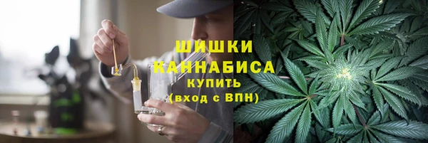 таблы Бородино