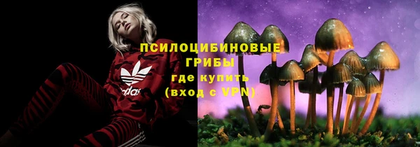 таблы Верея