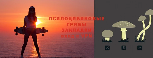 первитин Володарск