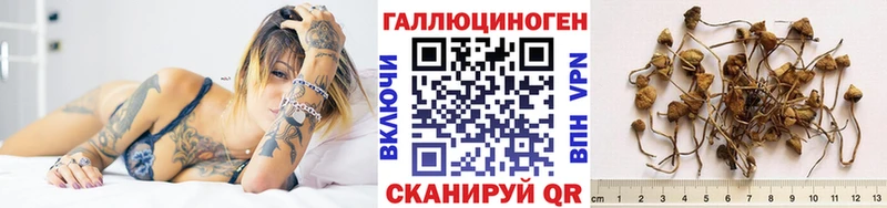 Псилоцибиновые грибы Psilocybine cubensis где купить наркоту Инта